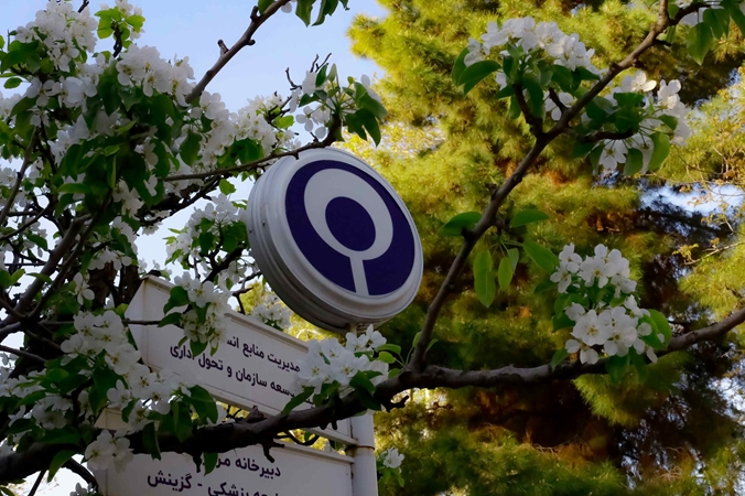 توسعه پروتکل چندمنظوره تردمیل برای تمرینات حرکتی کودکان سالم و دارای ناتوانی